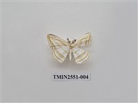 藏品(尺蛾41)的圖片